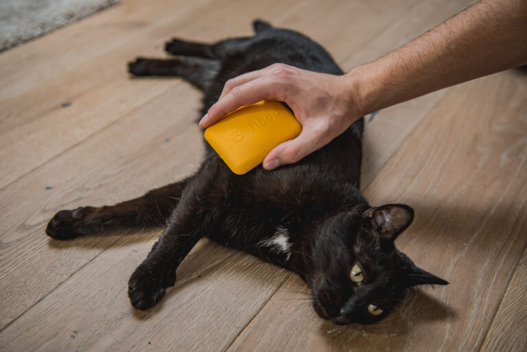 Pielegnacja siersci kota – szczotki Fiboo