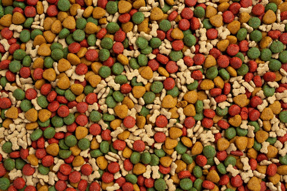 Karmy bezzbożowe dla psów i kotów