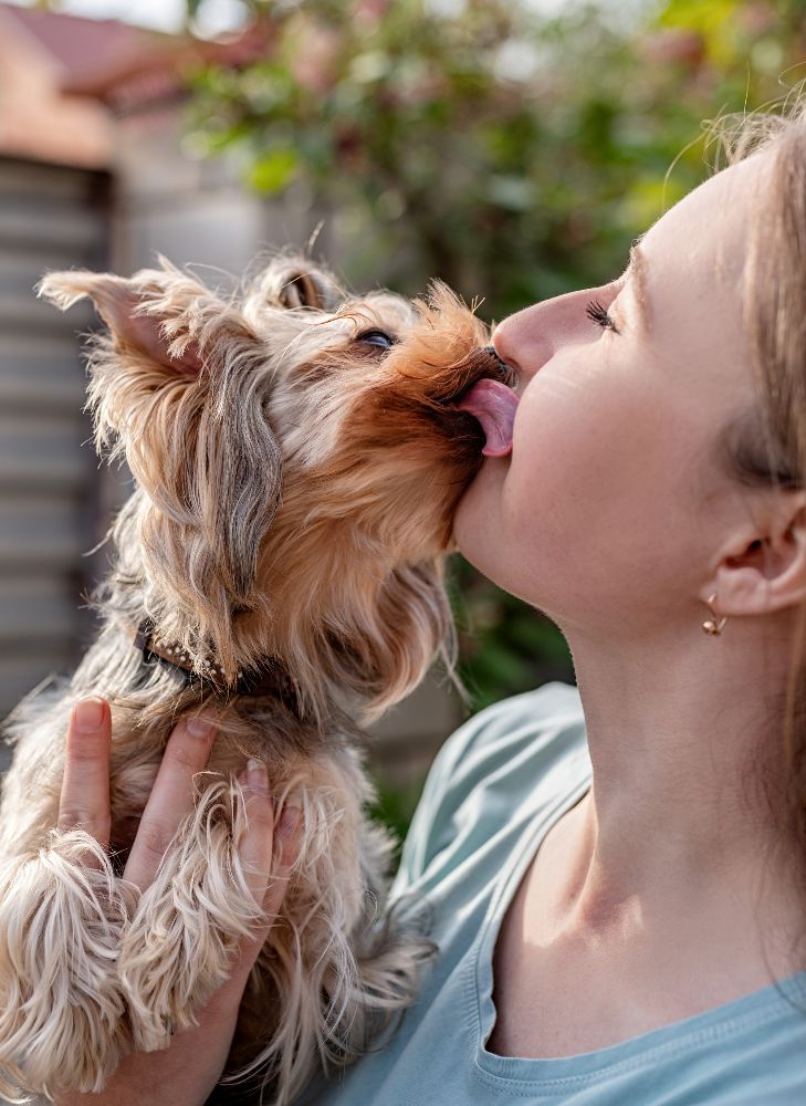 Pies liże kobietę po twarzy