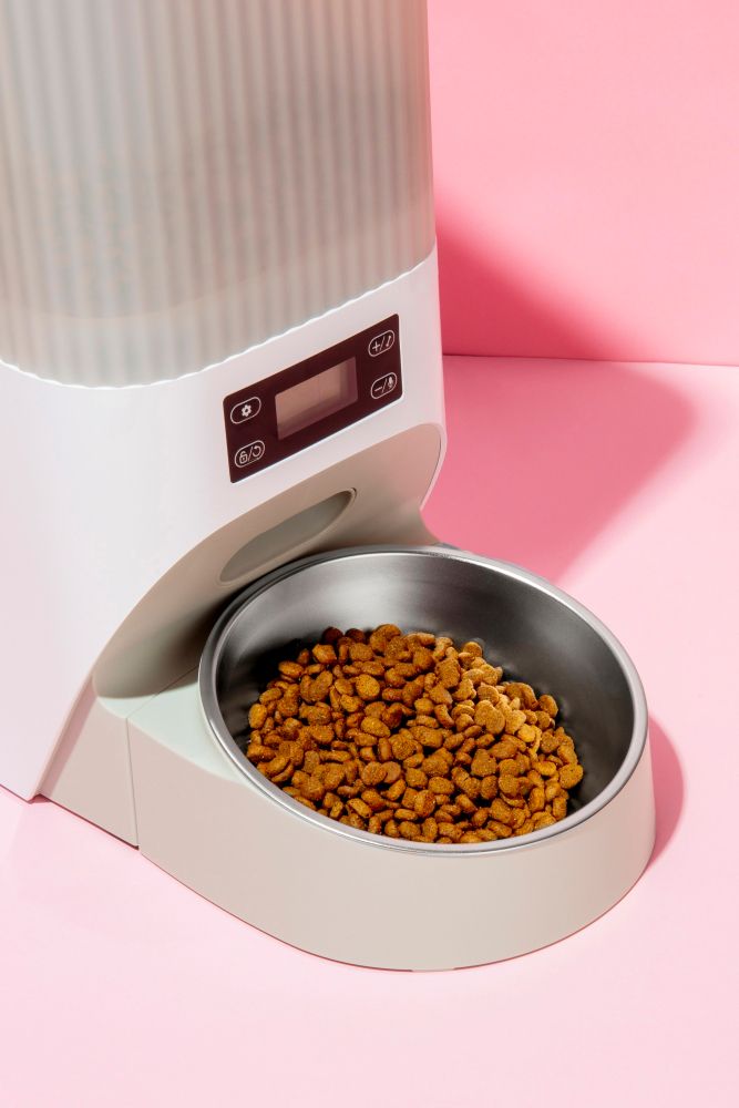 Automatyczny karmnik dla psa