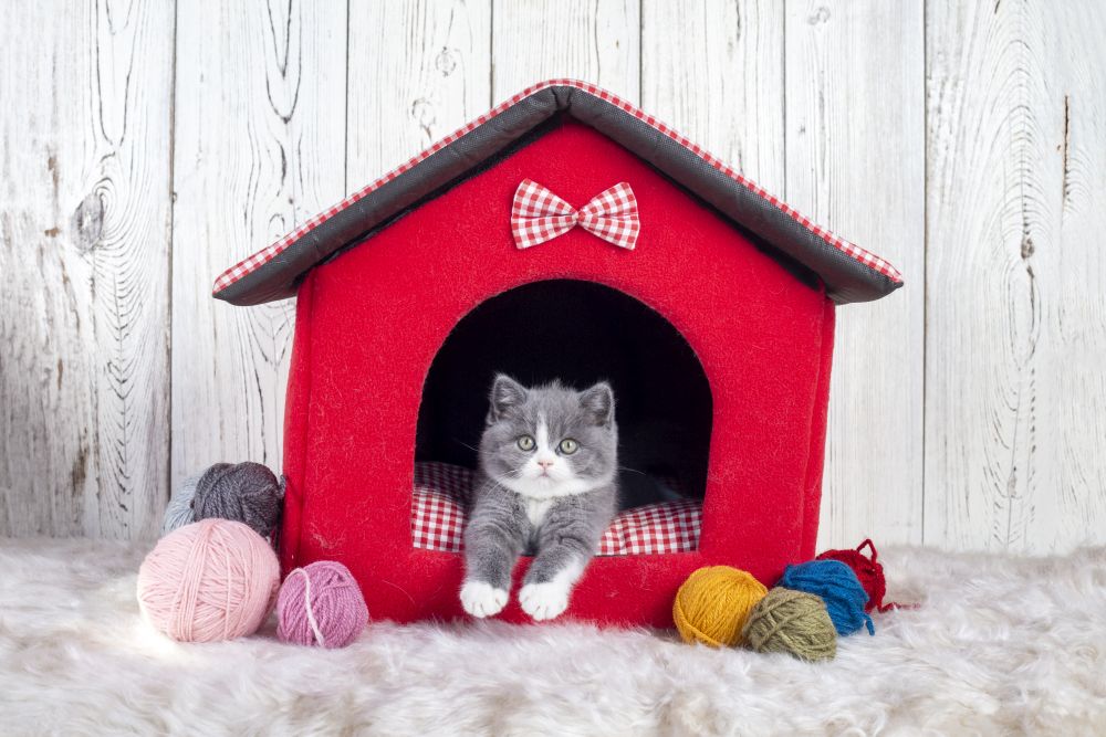 Domek legowisko dla kota