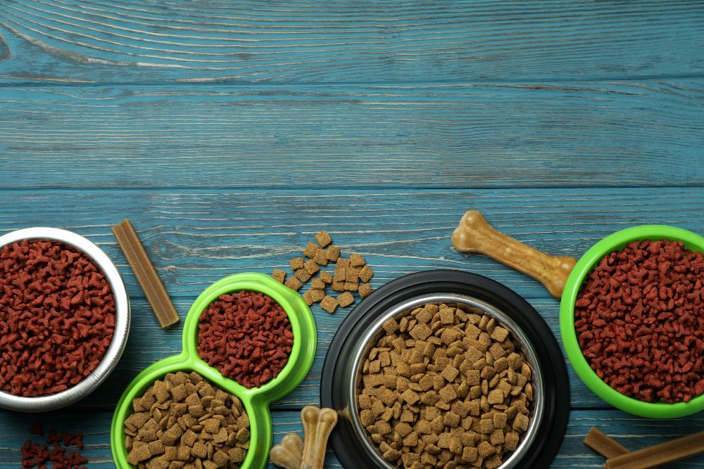 Karma dla psów polska