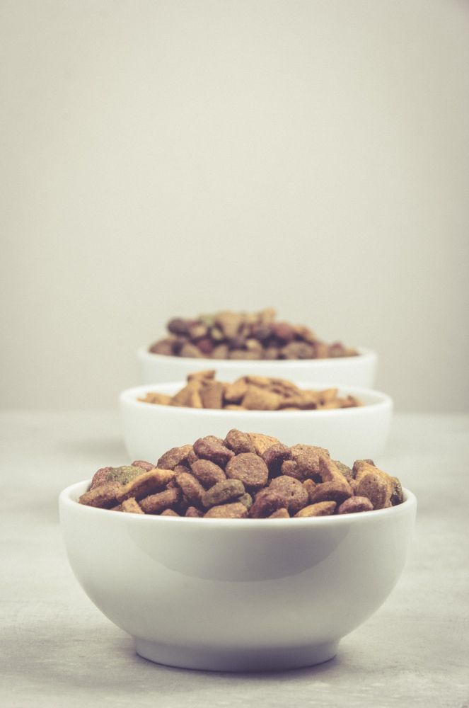 Miski z karmą dla psów