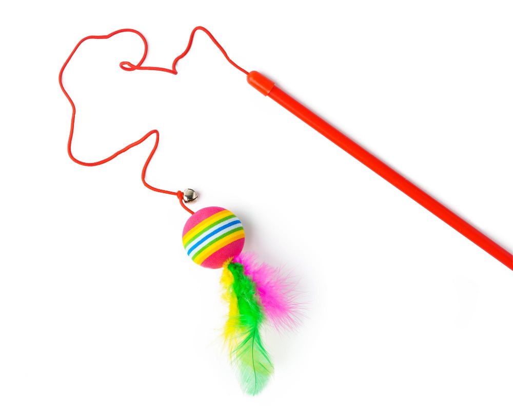 Wędka dla małego kota