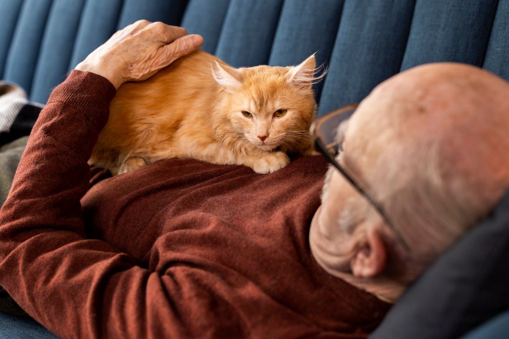 Dlaczego kot kładzie się na człowieku