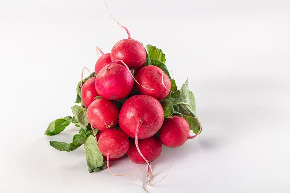 Czy kot je rzodkiewkę